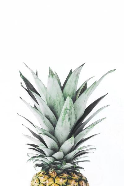 Sisi & Seb: Pineapple by Sisi & Seb