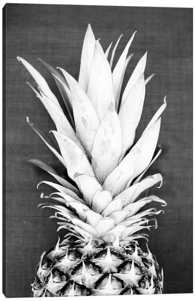 Pineapple In Black & White Canvas Art Print - Pineapple Art