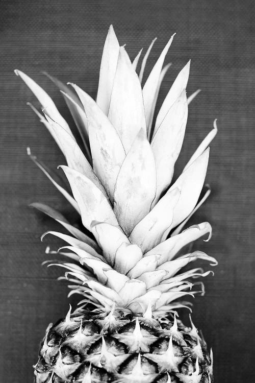 Pineapple In Black & White