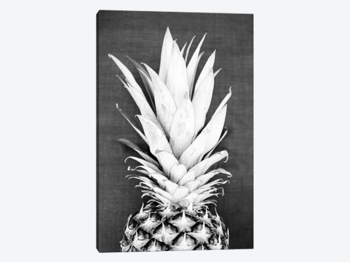 Modern Pineapple Black and White Canvas Prints Artwork Painting Picture L 