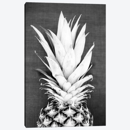 Pineapple In Black & White Canvas Print #SSE159} by Sisi & Seb Canvas Artwork