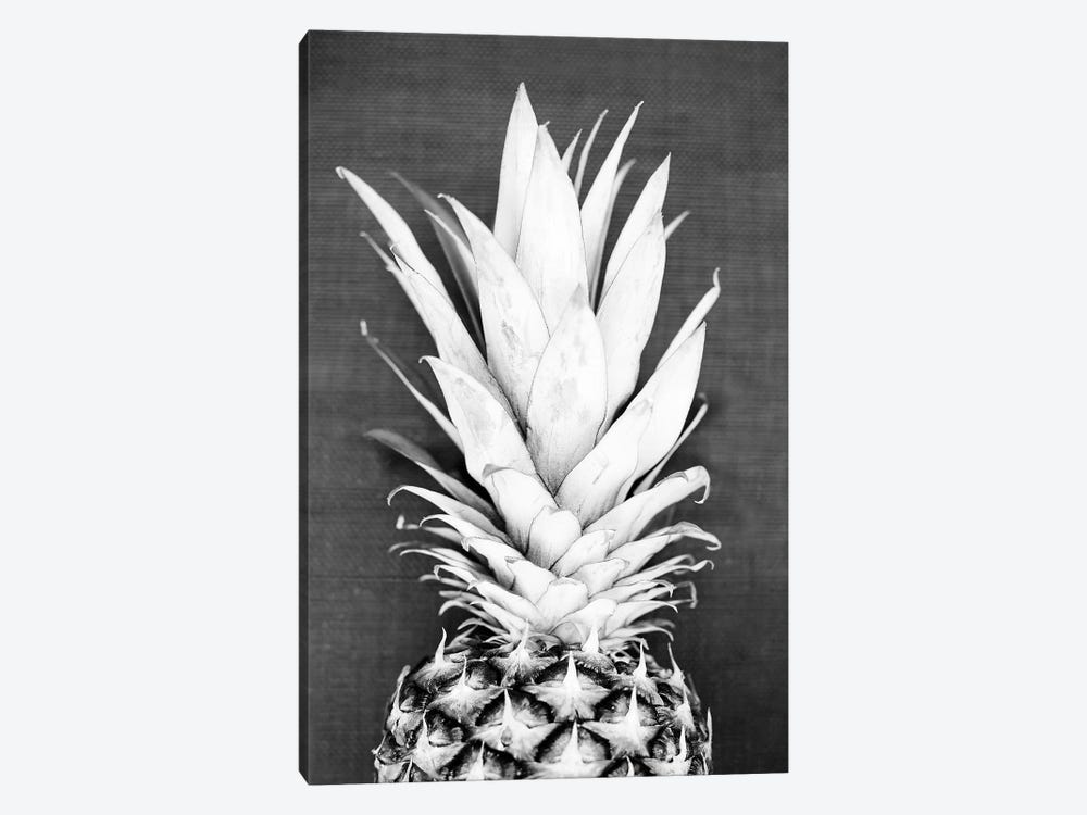 Pineapple In Black & White by Sisi & Seb 1-piece Canvas Art