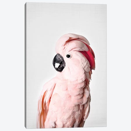 Pink Cockatoo Canvas Print #SSE161} by Sisi & Seb Art Print