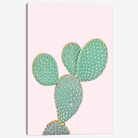 Pink Opuntia Canvas Print #SSE166} by Sisi & Seb Canvas Wall Art