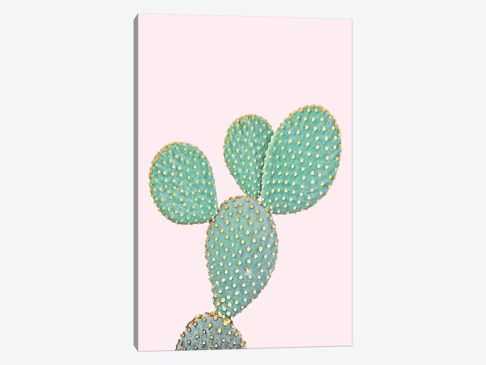 Pink Opuntia by Sisi & Seb 1-piece Canvas Artwork