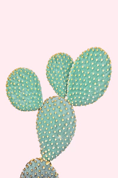 Sisi & Seb: Pink Opuntia by Sisi & Seb