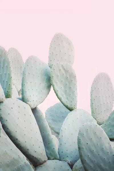 Pink Pastel Cactus by Sisi & Seb metal wall art