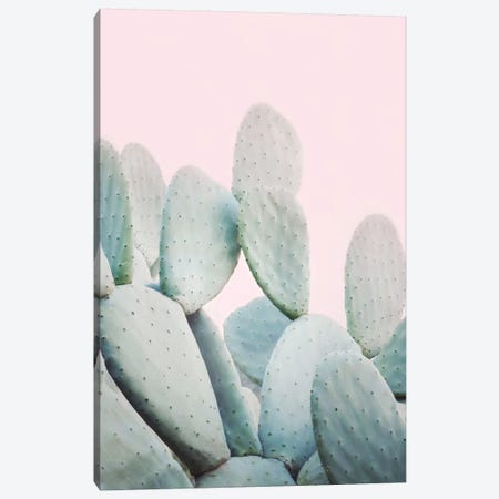 Pink Pastel Cactus Canvas Print #SSE167} by Sisi & Seb Canvas Wall Art