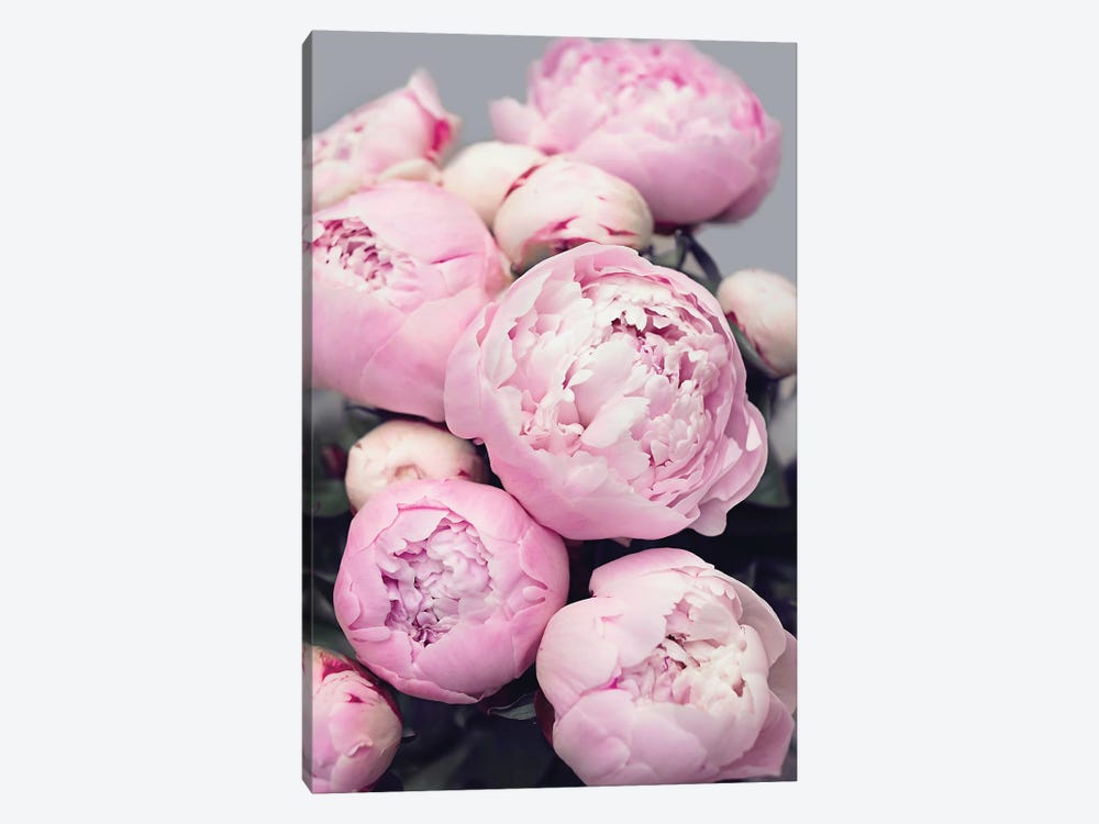 Pink Peonies by Sisi & Seb 1-piece Canvas Wall Art