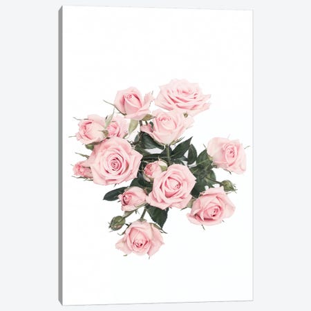 Pink Roses Canvas Print #SSE170} by Sisi & Seb Canvas Artwork