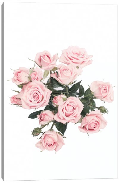 Pink Roses Canvas Art Print - Sisi & Seb