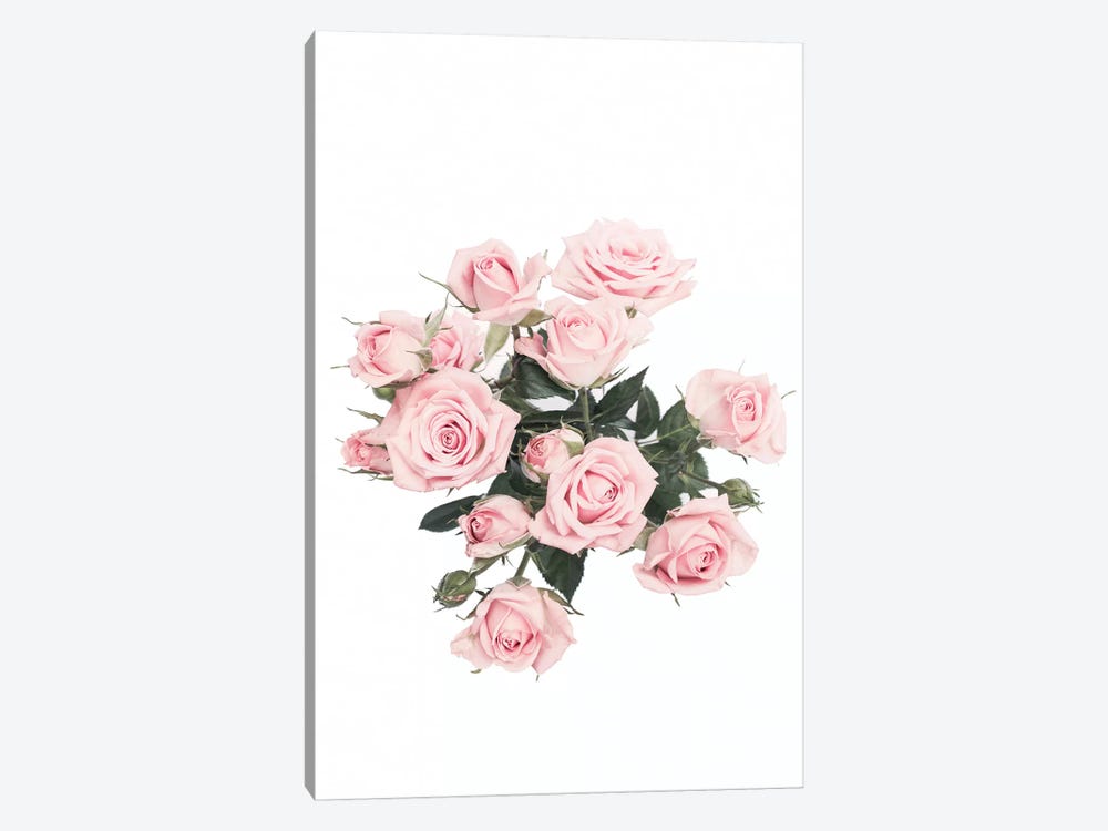 Pink Roses by Sisi & Seb 1-piece Canvas Print
