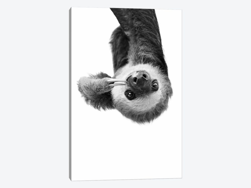 Sloth In Black & White by Sisi & Seb 1-piece Canvas Wall Art