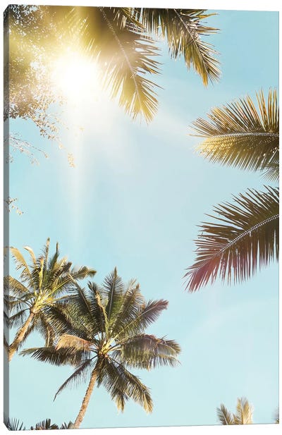 Sunny Palm Leaf Canvas Art Print - Beach Vibes