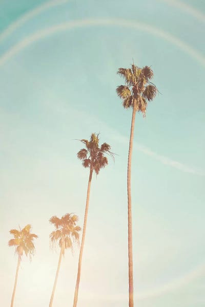 Tropical Living Room: Sunny Palm Trees by Sisi & Seb