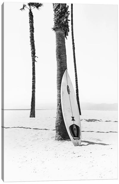 Surf Board In Black & White Canvas Art Print - Palm Tree Art