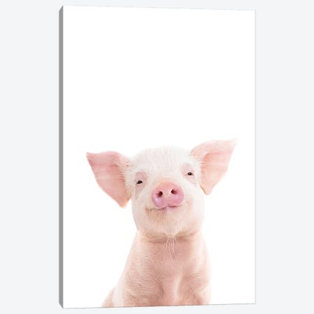 Baby Piglet Canvas Print #SSE19} by Sisi & Seb Canvas Art