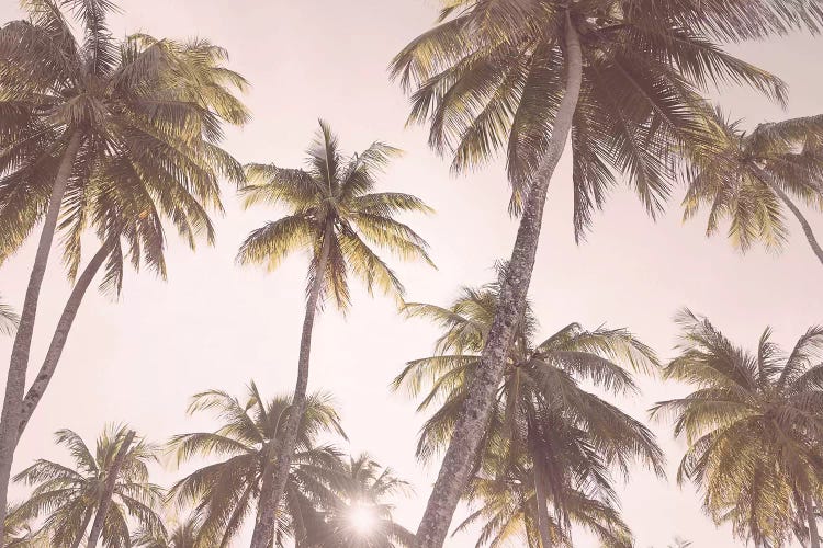 Tropical Blush by Sisi & Seb wall art