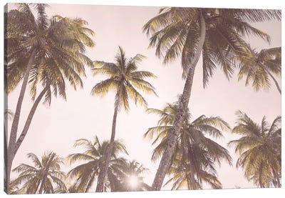 Tropical Blush Canvas Art Print - Beach Vibes