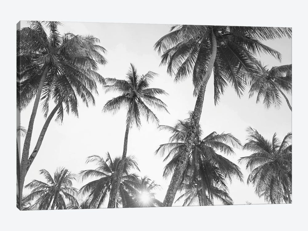 Tropical In Black & White by Sisi & Seb 1-piece Canvas Artwork