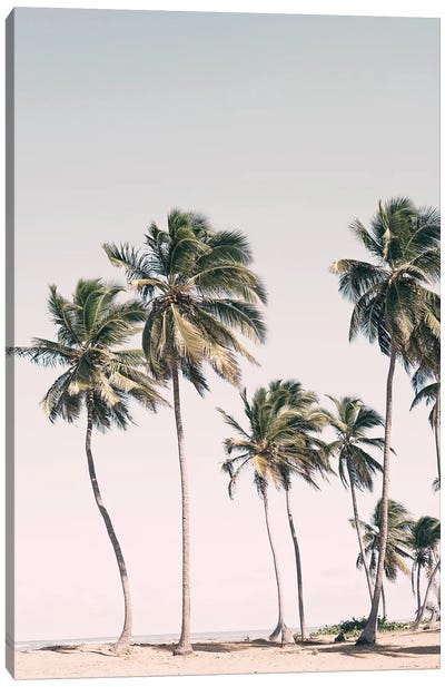 Tropical Paradise Canvas Art Print - Palm Tree Art