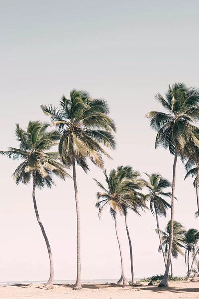 Large Coastal Art - Canvas Prints: Tropical Paradise by Sisi & Seb