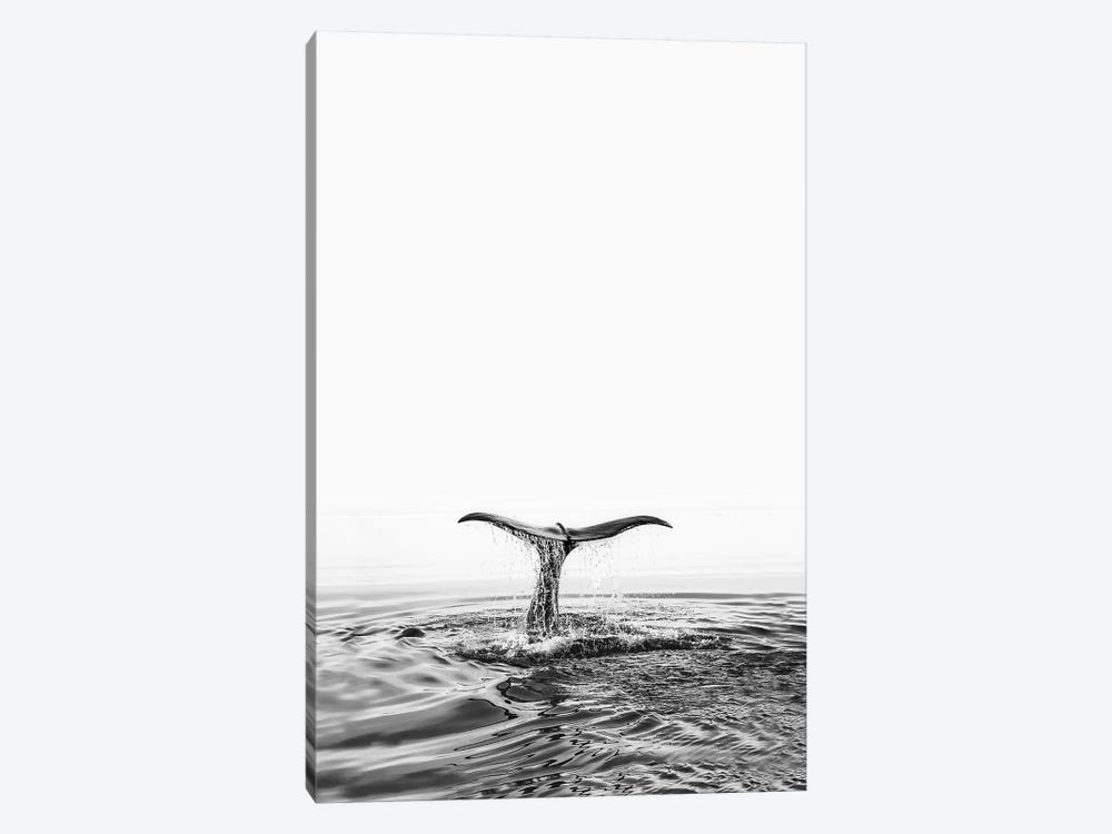 Whale Tale by Sisi & Seb 1-piece Canvas Print