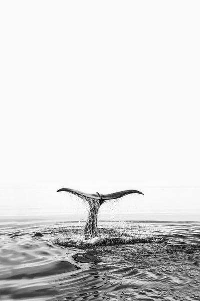 Minimalist Photography: Whale Tale by Sisi & Seb