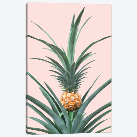Baby Pineapple Canvas Print #SSE20} by Sisi & Seb Canvas Print