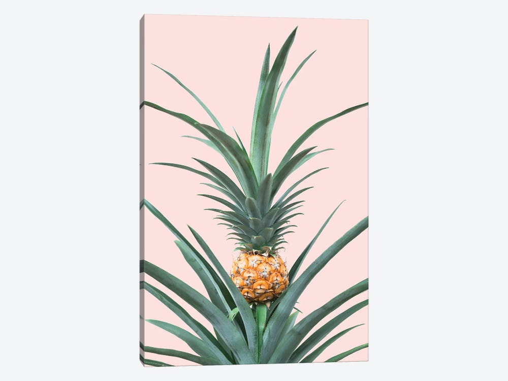 Baby Pineapple by Sisi & Seb 1-piece Canvas Art