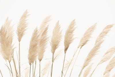 Minimalist Photography