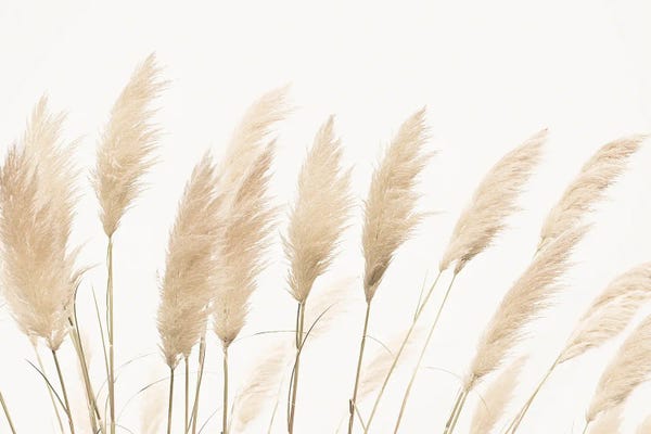 Minimalist Photography