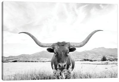 Longhorn Canvas Art Print - Farm Animal Art