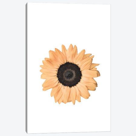 Sunflower Canvas Print #SSE221} by Sisi & Seb Canvas Art