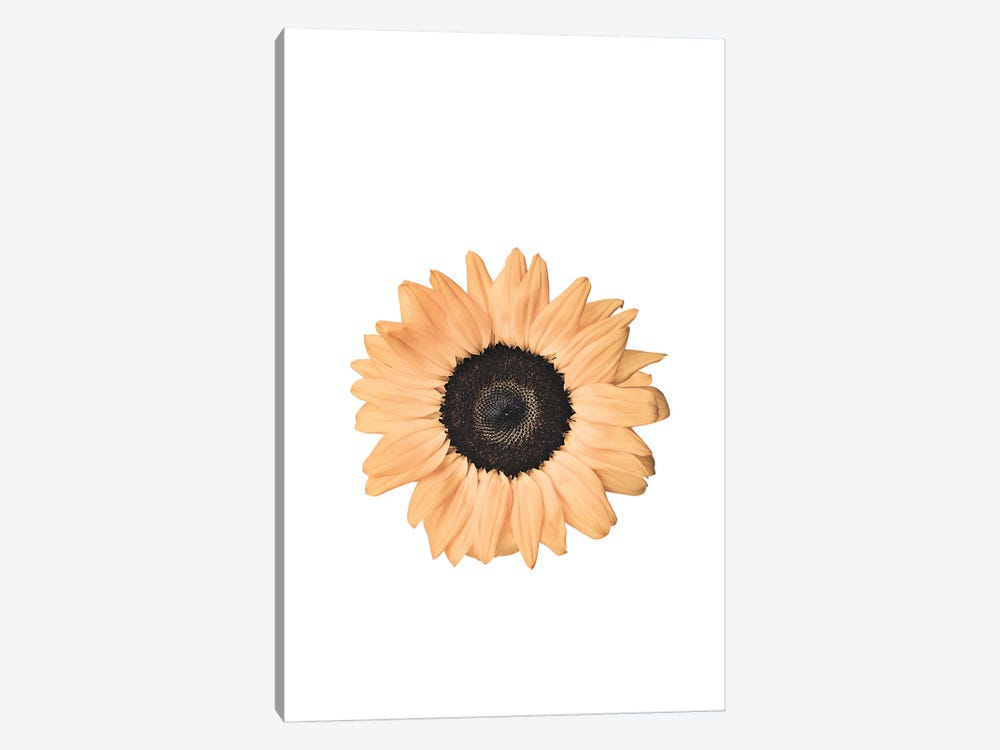 Sunflower by Sisi & Seb 1-piece Art Print