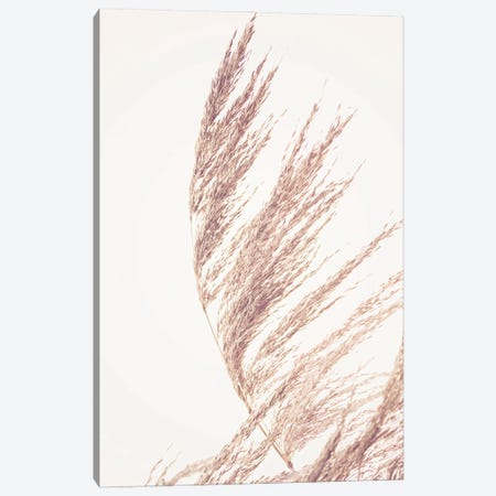 Pampas Grass II Canvas Print #SSE223} by Sisi & Seb Canvas Wall Art