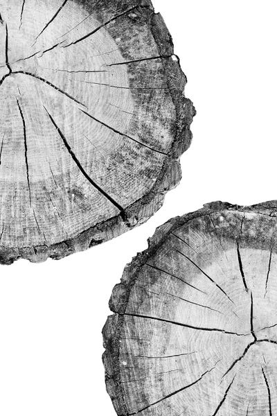 Wood Slice by Sisi & Seb metal wall art