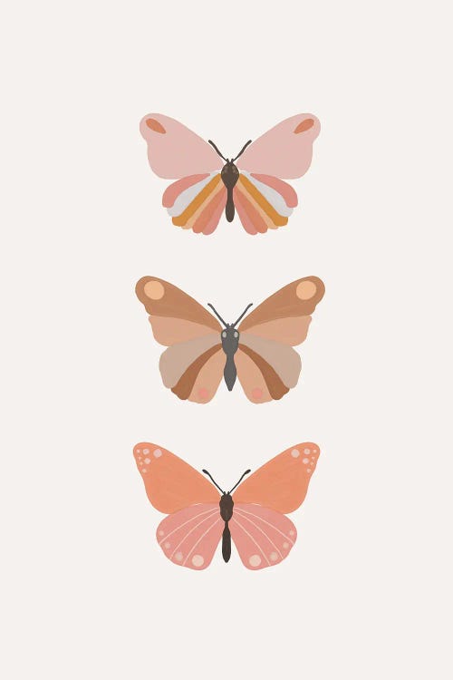 Butterflies Illustration