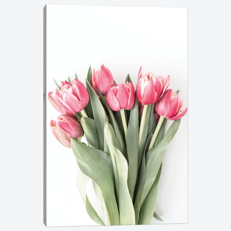 Tulips Canvas Print #SSE228} by Sisi & Seb Canvas Artwork