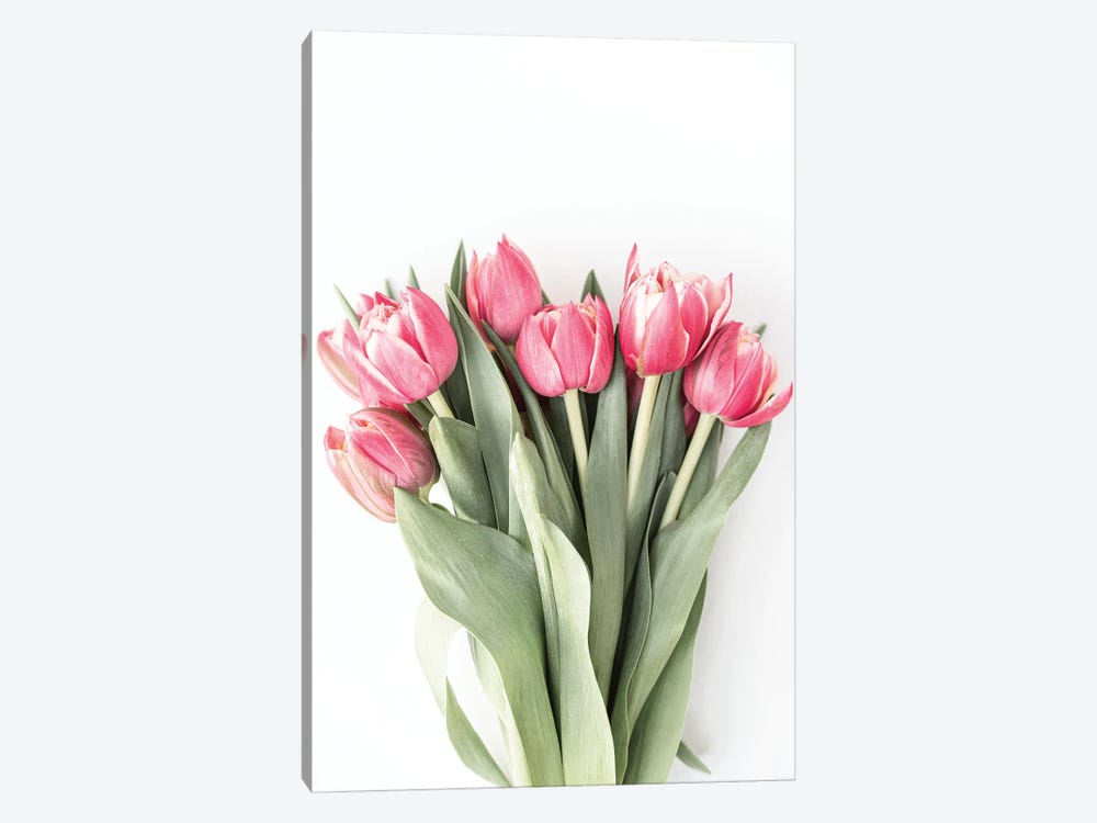 Tulips by Sisi & Seb 1-piece Canvas Art