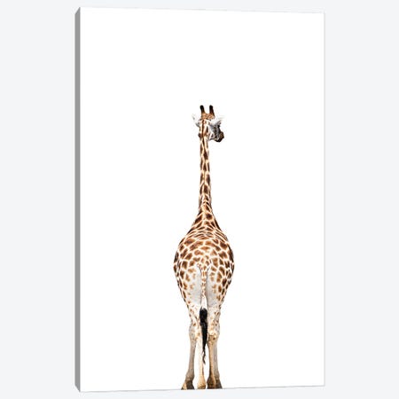Giraffes Backside Canvas Print #SSE240} by Sisi & Seb Canvas Art