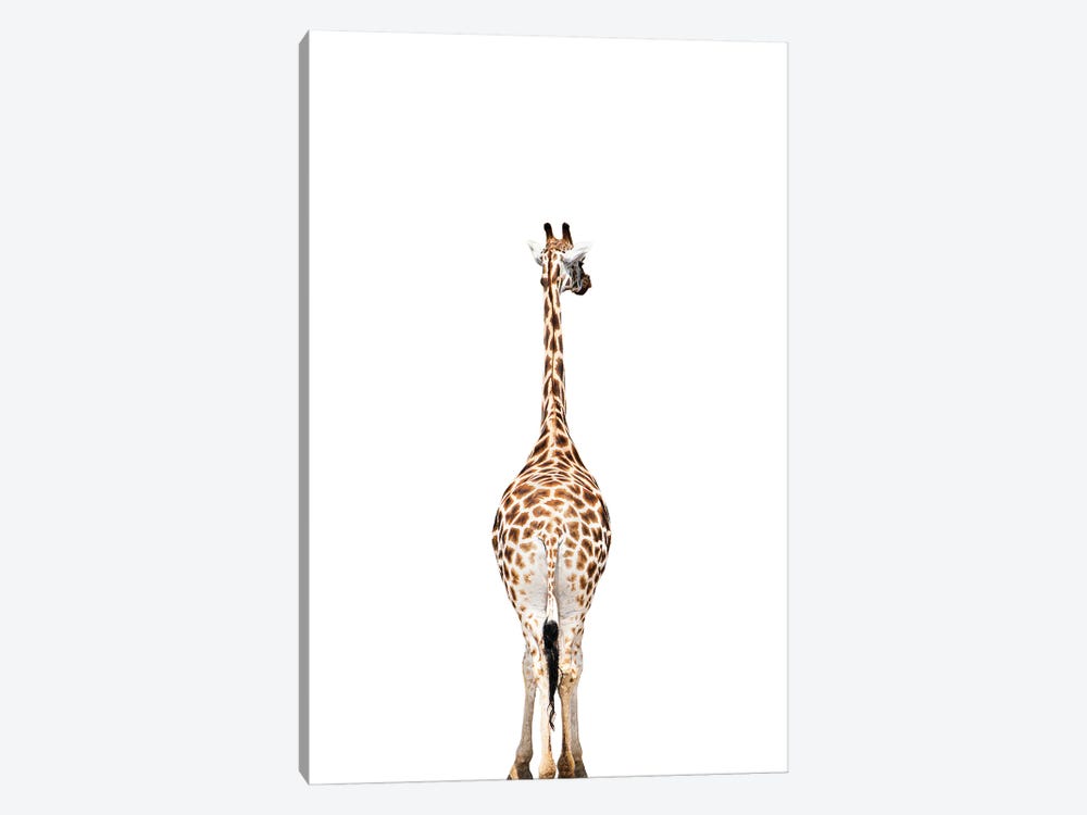 Giraffes Backside by Sisi & Seb 1-piece Canvas Artwork