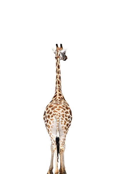 Sisi & Seb: Giraffes Backside by Sisi & Seb