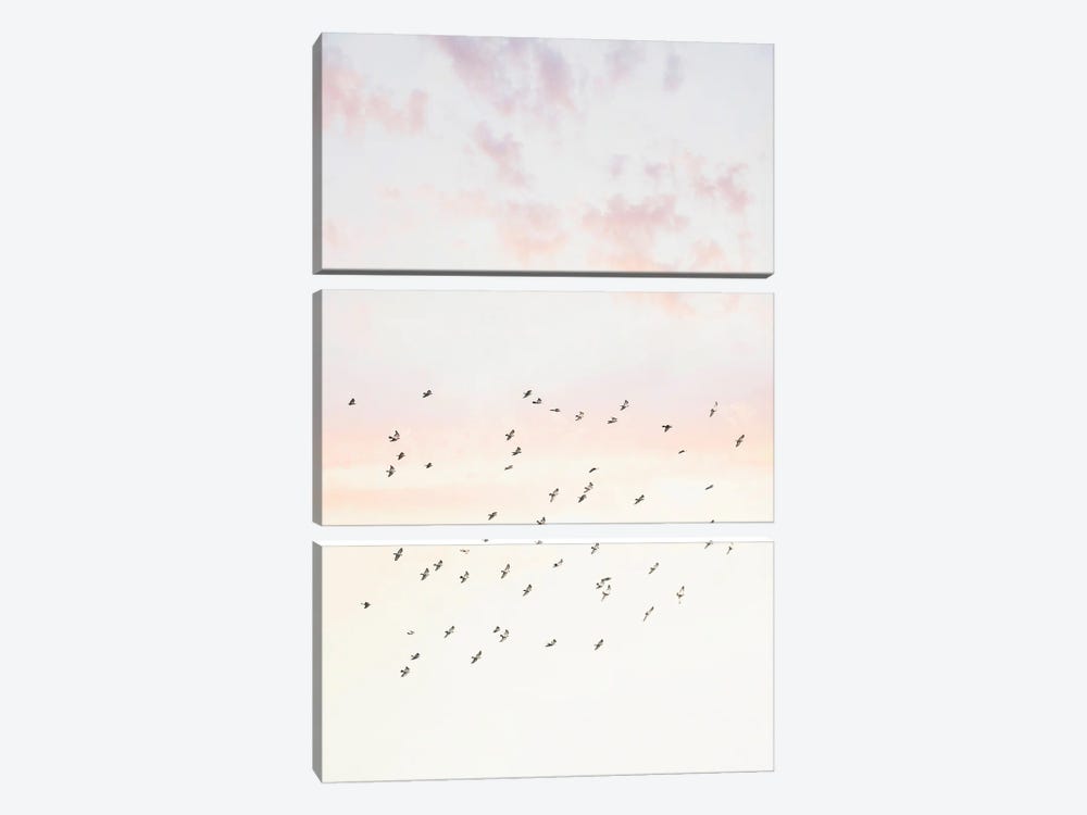 Pastel Sky by Sisi & Seb 3-piece Canvas Artwork