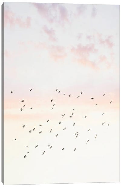 Pastel Sky Canvas Art Print - Sisi & Seb