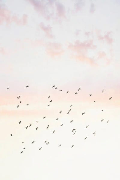 Powdered Pastels: Pastel Sky by Sisi & Seb