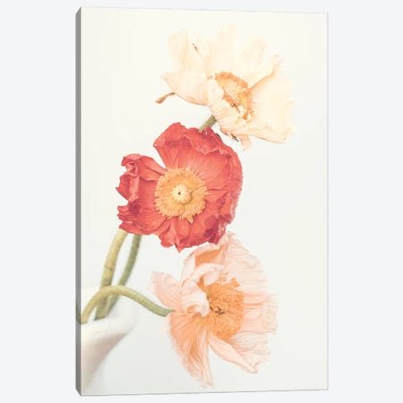 Poppies Canvas Print #SSE249} by Sisi & Seb Canvas Wall Art