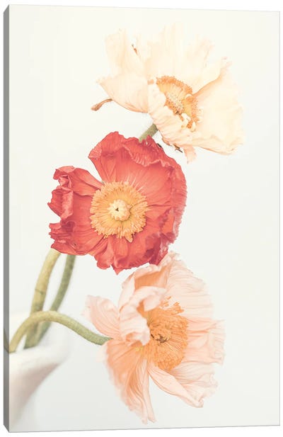 Poppies Canvas Art Print - Sisi & Seb