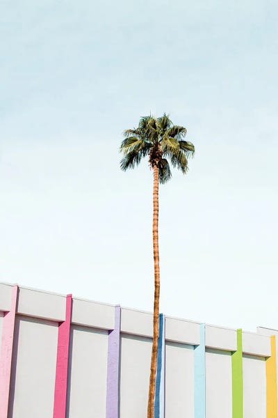 Palm Trees: Colorful Palm Springs by Sisi & Seb