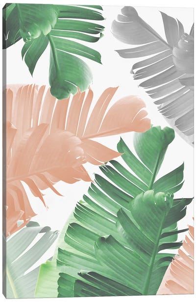 Banana Leaf Play Canvas Art Print - Sisi & Seb